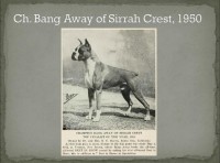 /album/%cf%80%ce%b7%ce%b3%ce%ae-%3a-boxernews-forumcommunity-net/%ce%b1%ce%bd%cf%84%ce%af%ce%b3%cf%81%ce%b1%cf%86%ce%bf-%282%29-%ce%b1%cf%80%cf%8c-10404399-731606970227949-7109674043112809702-n-jpg/